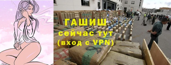 гидра Абаза