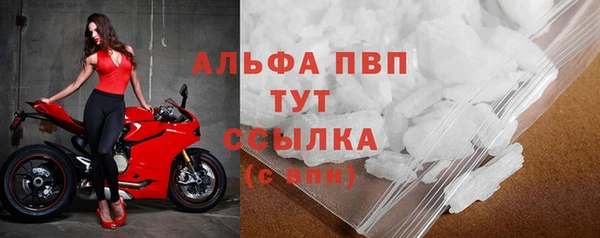 гидра Абаза