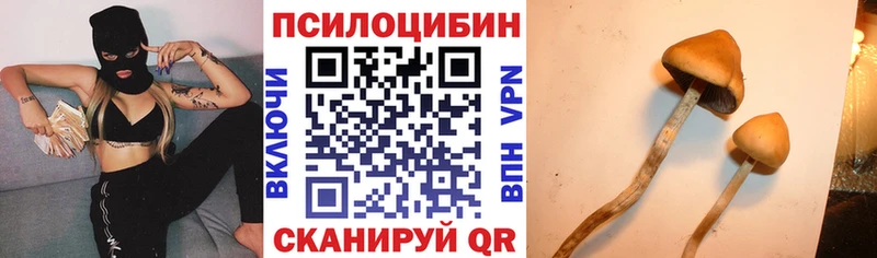 Псилоцибиновые грибы Magic Shrooms  купить наркотики сайты  Яровое 